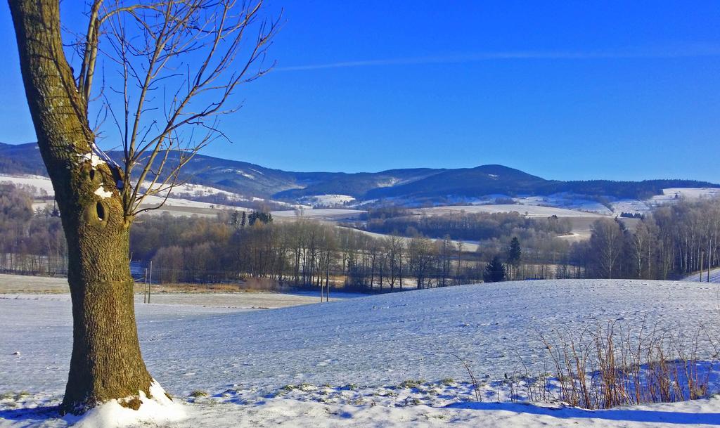 Penzion Na Červeném Potoce Králíky Extérieur photo